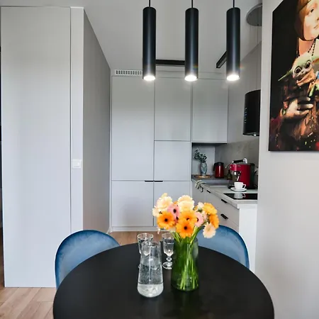 Widokowa Przystan - Laguna Beskidow Apartment